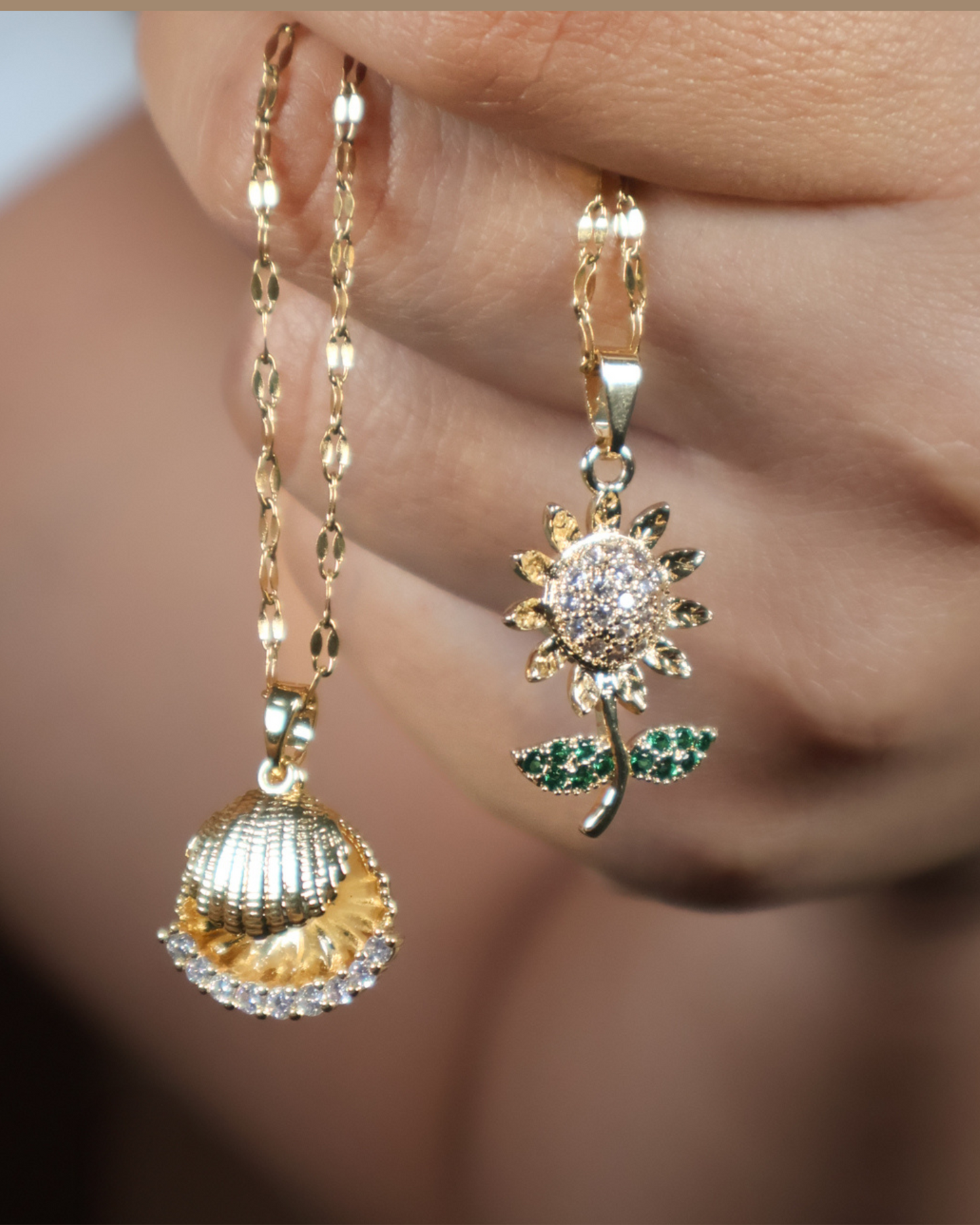 Collar Clam