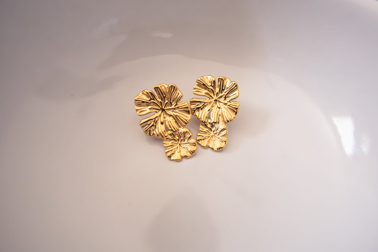 Aretes Pia