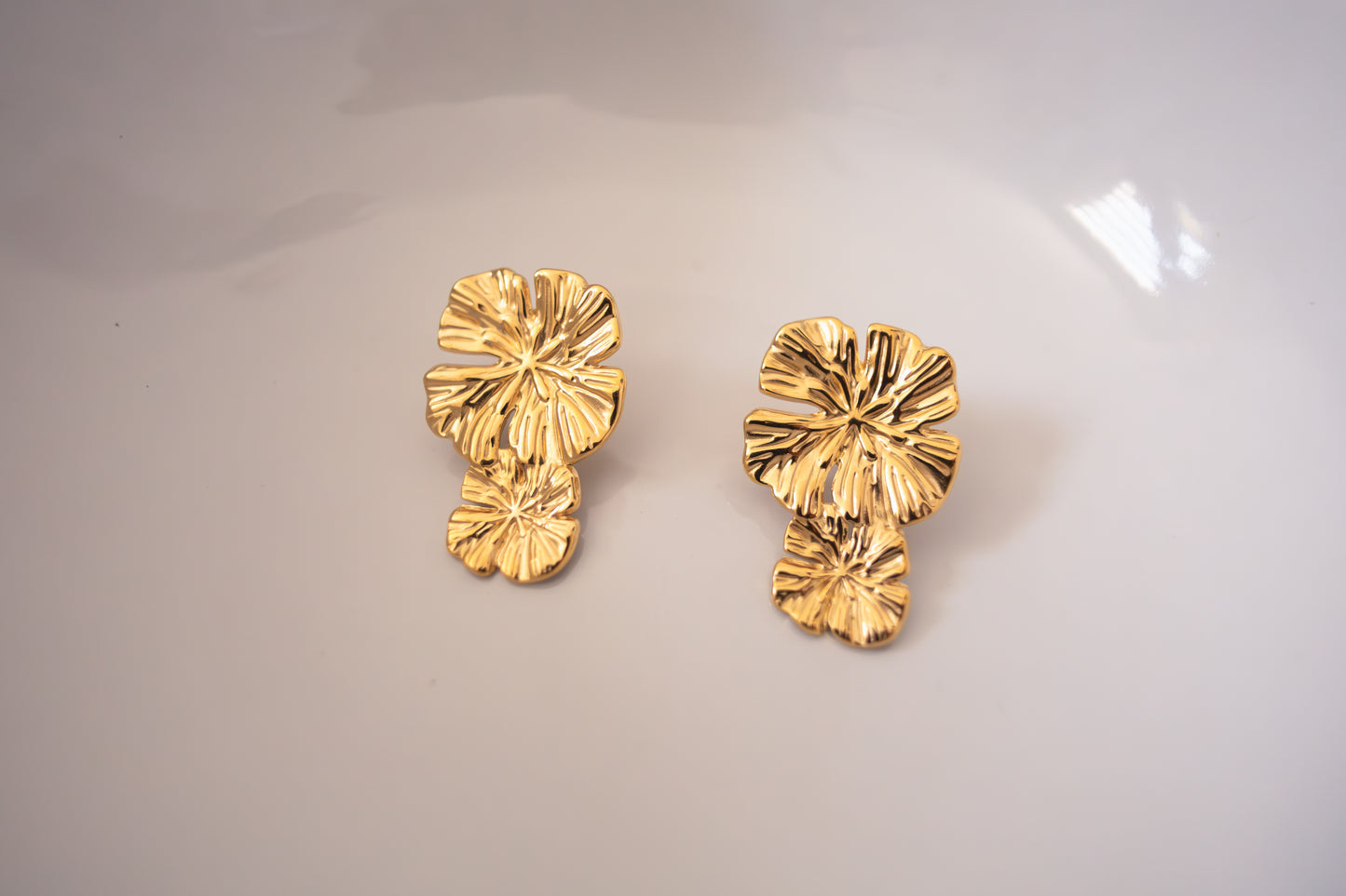 Aretes Pia