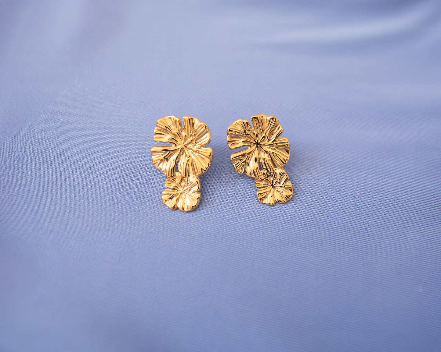 Aretes Pia