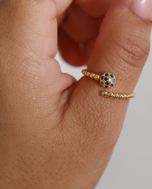 Anillo snake