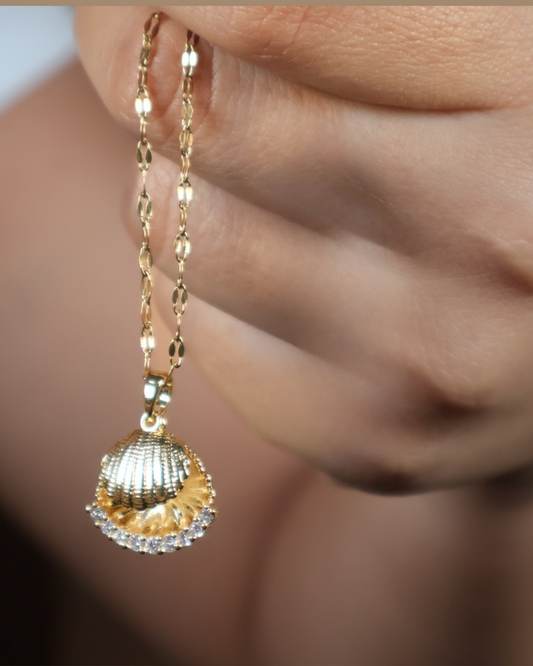 Collar Clam
