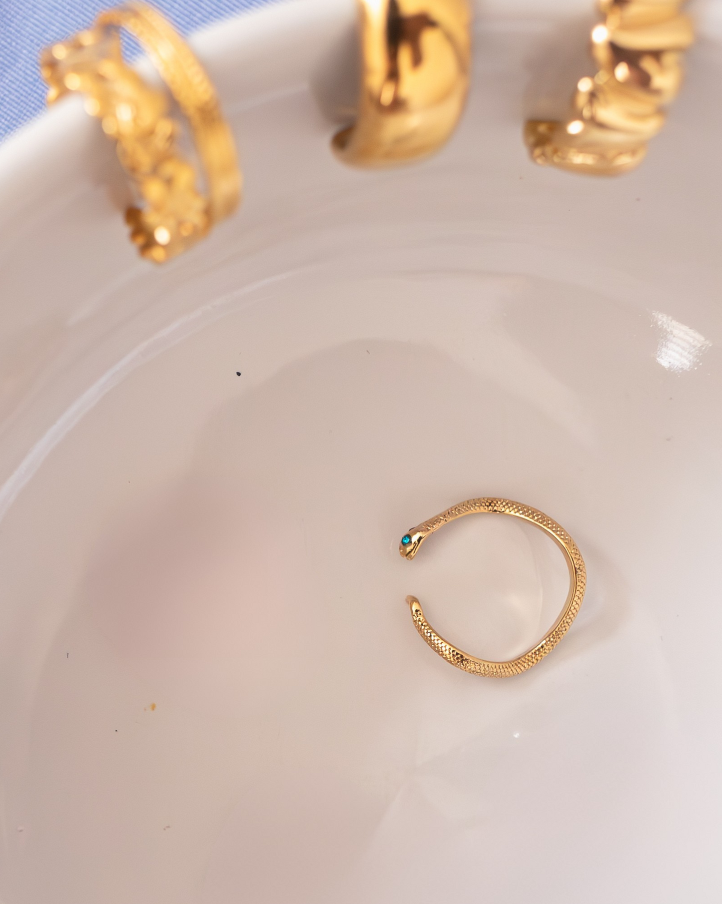 Anillo Orm