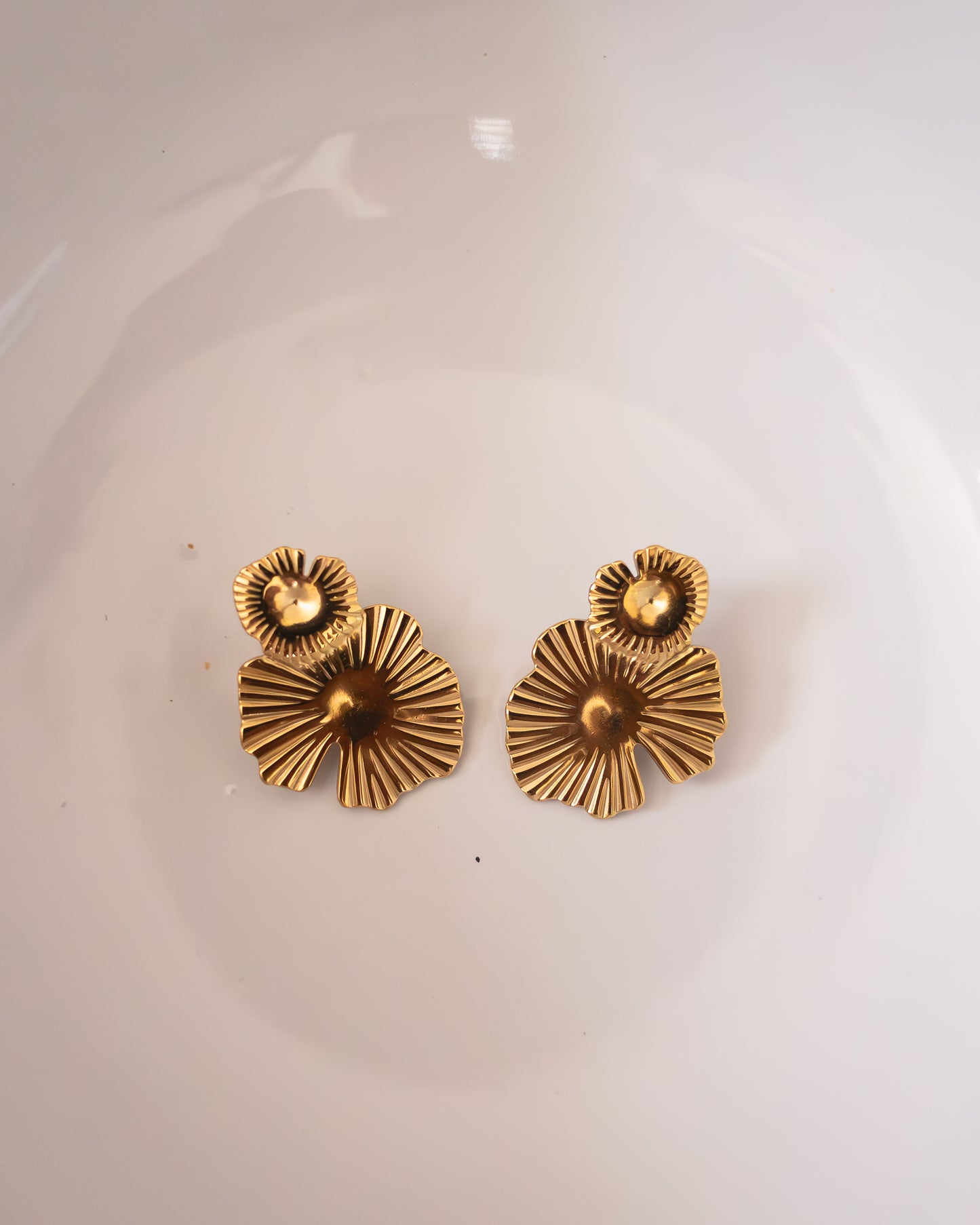 Aretes Nina