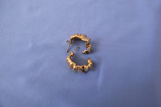 Aretes Vera